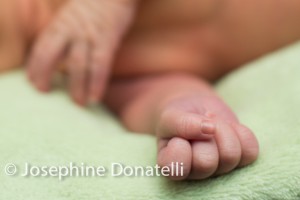 Captured-Event-New-Born-Josephine-Donatelli