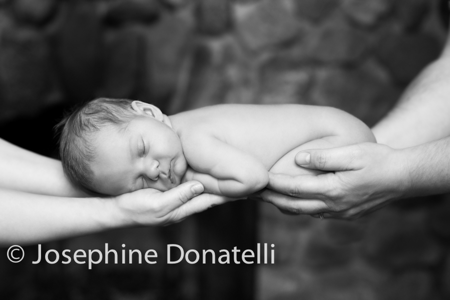 Captured-Event-New-Born-Josephine-Donatelli