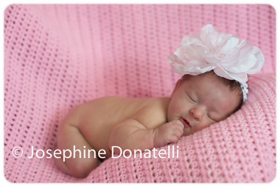New-Born-Portrait-Session-Josephine-Donatelli-Captured-Event