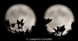 CapturedEvent-Moon-Josie-Donatelli